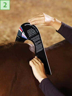 Bates/Wintec Easy Change Gullet Gauge -Horse Supplies Store 2 gauge point 97724.1546903553