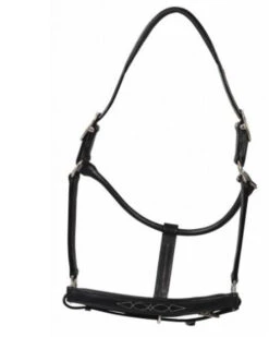 HDR Pony Fancy Padded Leather Halter -Horse Supplies Store 5019halterblack 80901 35602.1618602106