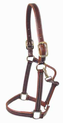 Mary's British Leather Halter With Solid Brass Hardware -Horse Supplies Store 5100britishhaltercopy 85659 13800.1685668117