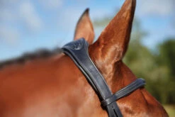 Collegiate ComfiTec Training Bridle -Horse Supplies Store 811145 ComfiTec Training Crown Side 34390.1588094697