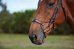 Collegiate ComfiTec Training Bridle -Horse Supplies Store 811145 ComfiTec Training L Side 3 80721.1588094714