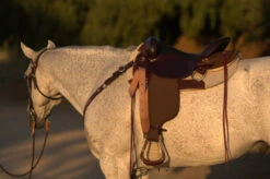 High Horse Highbank Endurance Saddle By Circle Y -Horse Supplies Store HH Highback Left Profile on a horse 30277.1600209479