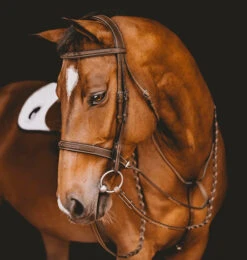 Arion Fancy Stitch Hunter Bridle -Horse Supplies Store Hunter Bridle with Fancy Stitching brown horse crop BR5H arion 95254.1681670675
