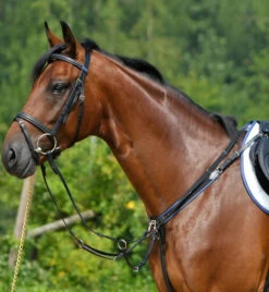Stubben Wide Elastic Breastplate With Running Attachment
