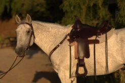 Circle Y Salt River Flex2 Trail Saddle 1667 -Horse Supplies Store Salt River Left Profile on a horse 71261.1600203852