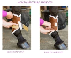 Euro Pro Rex Open Front Boot -Horse Supplies Store boot apply guide euro pro 24461.1601669583