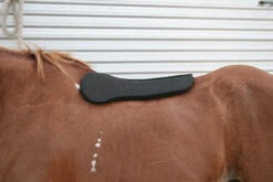 Horse Supplies Store -Horse Supplies Store circle y shoulder bridge pad 3 4 or 1 3 37072.1527884105