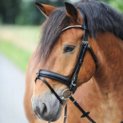 Kavalkade Clinchesse Snaffle Bridle -Horse Supplies Store clinchesse bridle black silver cob 19042 kavalkade 78707.1607203861
