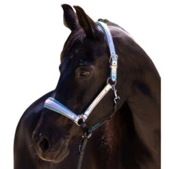 Halter Ego Elsa Halter -Horse Supplies Store elsa halter neon.blue halter ego 47152.1682705317