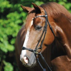 Kavalkade Fiala Drop Noseband Bridle -Horse Supplies Store fiala drop noseband bridle black horse 19043 kavalkade 70982.1607126906