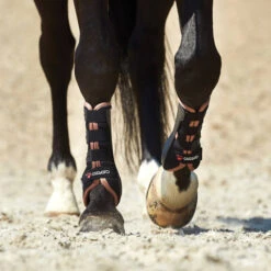 Horse Supplies Store -Horse Supplies Store fir tech elegant drs boot horse catago 80570.1658505197