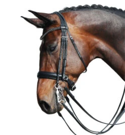 Passier Fortuna Double Bridle -Horse Supplies Store fortuna double bridle grey brow horse2 860 passier 45890.1690319789