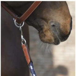 Antarès Lead Rope 5 Antarès Lead Rope -Horse Supplies Store lead rope navy brown clip LIC2 antares 27398.1643754806