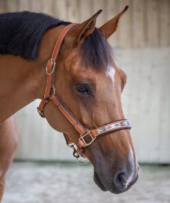 PÉNÉLOPE Pénélope Pearl Leather Halter -Horse Supplies Store pearl halter cognac 510 311 302 penelope 76617.1688687936