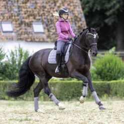 LeMieux Polo Bandages 11 LeMieux Polo Bandages -Horse Supplies Store polo bandages grey horse 9839 lemieux 08848.1670613727