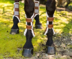 Euro Pro Rex Open Front Boot -Horse Supplies Store rex boots brown euro pro 46506.1601668109