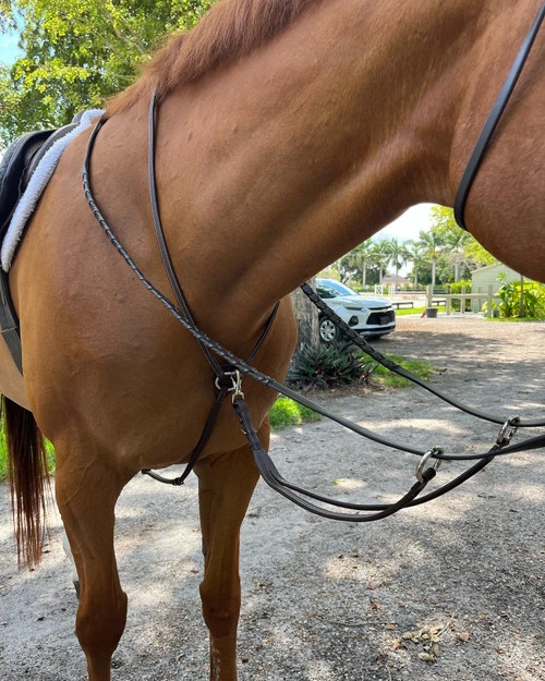 DziaSport Running Martingale Attachment 1 DziaSport Running Martingale Attachment