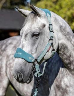 LeMieux Vogue Halter And Lead Rope